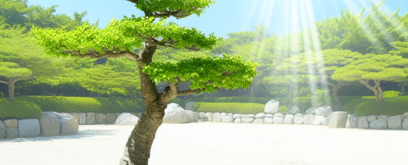 Filozofia ukryta w drzewku – historia i estetyka bonsai